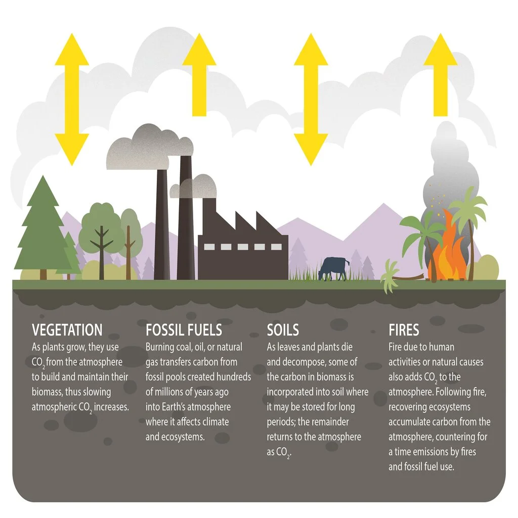 Fossil Fuel, Atmosphere, Earth: Reimagining Our Future—Embracing Degrowth or Striving for Two Earths 2 Fossil Fuel, Atmosphere, Earth: Degrowth