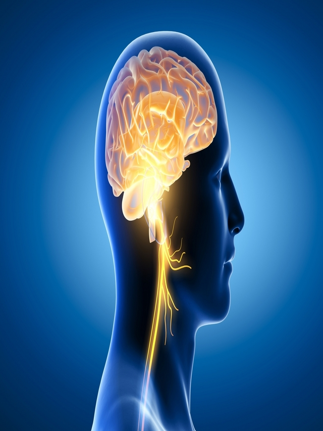 TOP 7 SKILL जो आपके Brain को सीखने और कौशल को बढ़ाने में मदद करते हैं
