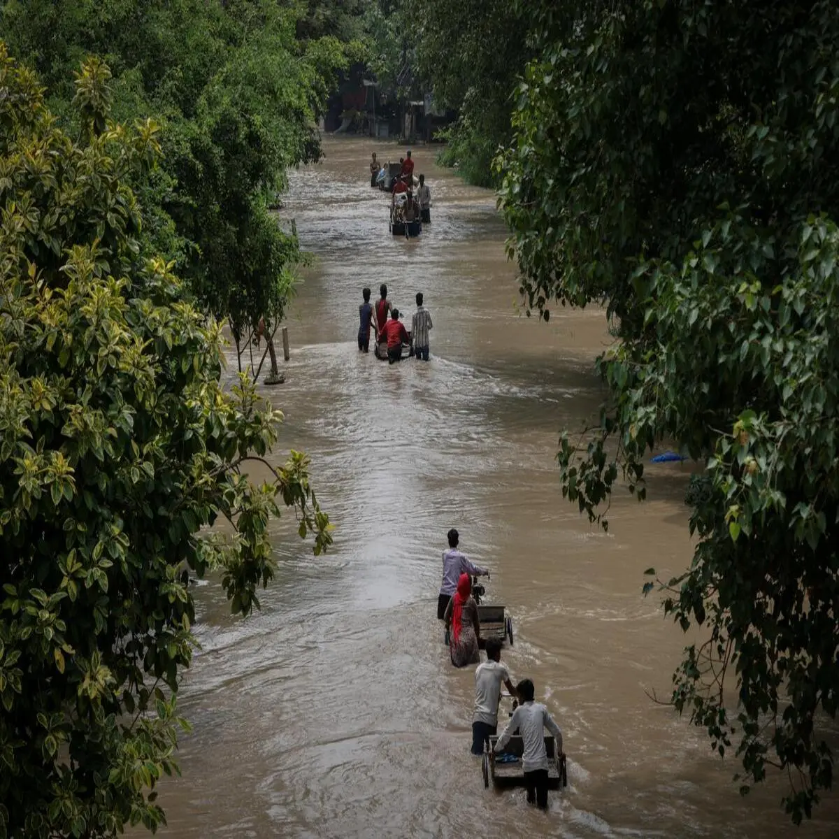 Yamuna's Rising Waters: Is it a Natural Phenomenon or a Man-made Crisis? Yamuna's Rising Waters: Is it a Natural Phenomenon or a Man-made Crisis?