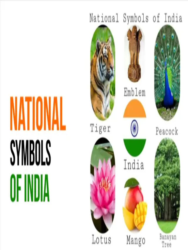 The Spirit of India: A Journey Through its National Symbols
