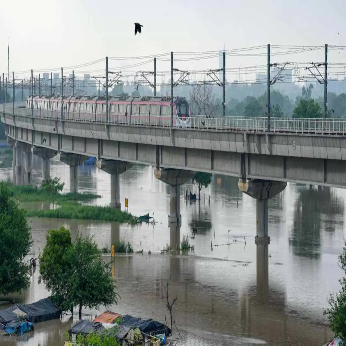 S.O.S. Delhi: Addressing the Crisis of Yamuna's Rising Water Level and its Impacts 2 S.O.S. Delhi: Addressing the Crisis of Yamuna's Rising Water Level and its Impacts